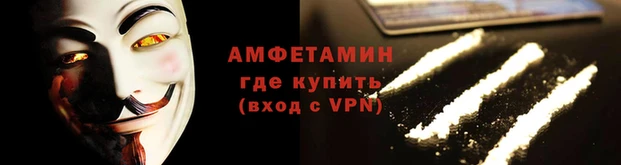 крисы Приозерск