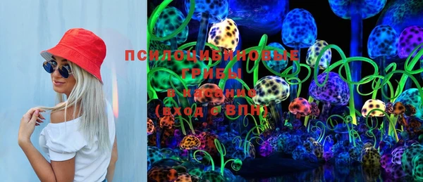 крисы Приозерск