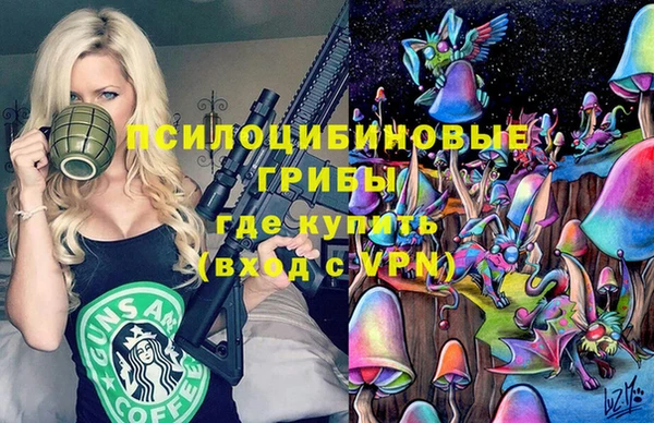 мдма Гатчина