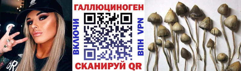 Галлюциногенные грибы GOLDEN TEACHER  Ивангород 
