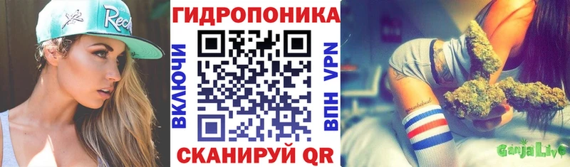 Марихуана план  мега онион  Ивангород 